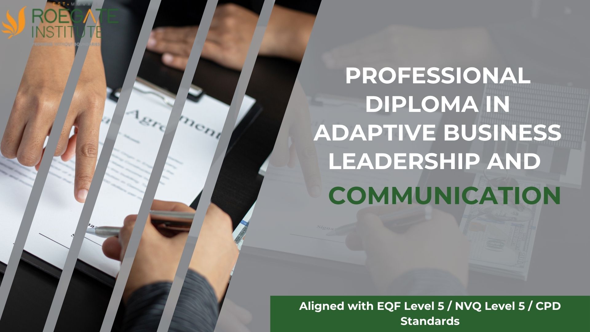 Professional Diploma in Adaptive Business Leadership and Communication
